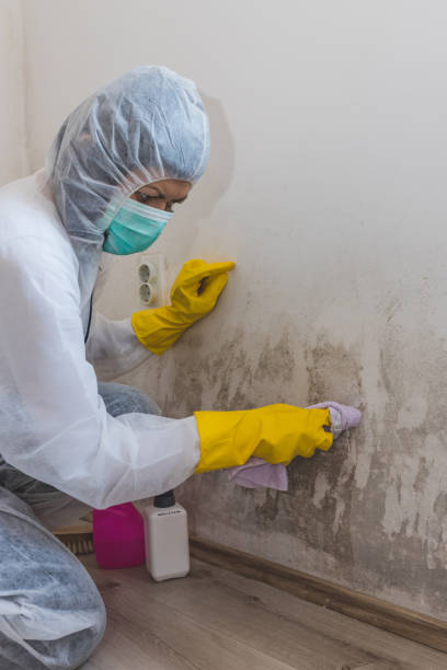 Best Airborne Mold Testing  in Nahunta, GA