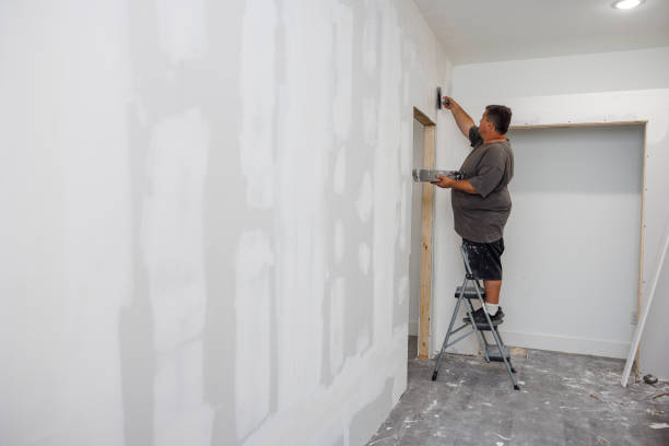 Best Attic Mold Removal  in Nahunta, GA