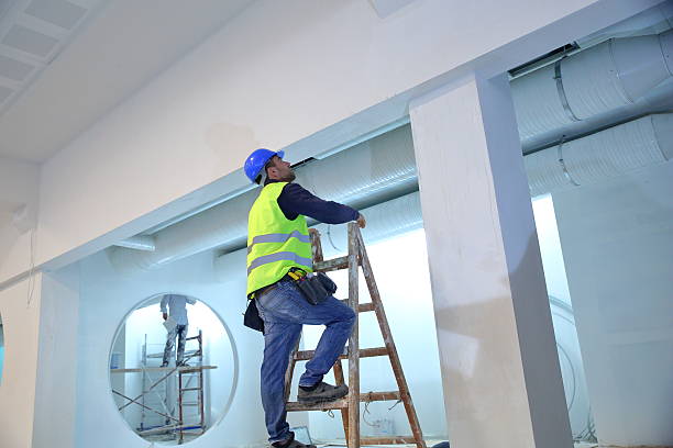 Nahunta, GA Mold Removal Company