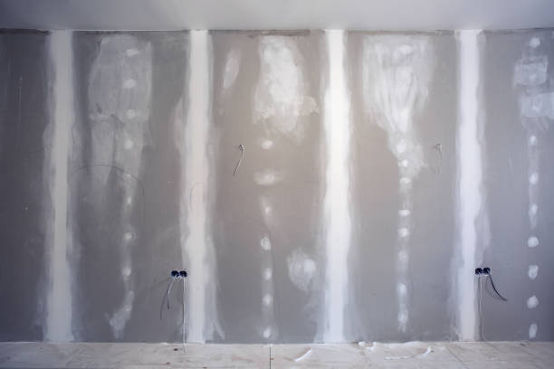 Best Industrial Mold Remediation  in Nahunta, GA